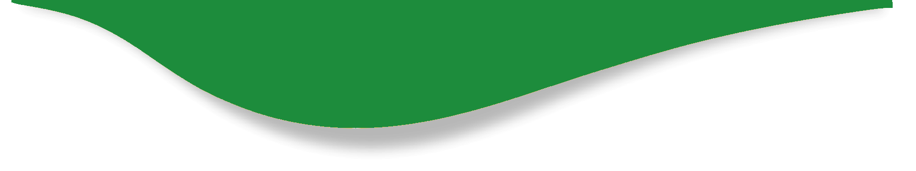Giselma Terapeuta